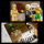 LEGO Icons 10326 Muzeum Historii Naturalnej - 1202301 - zdjęcie 10